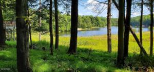 10 Beaver Lake Dr