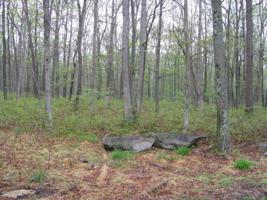 Lot 16 MADISON Ct