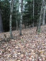 379 Creek Rd