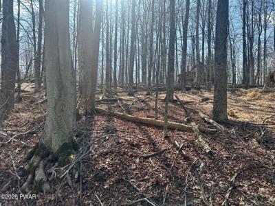 Lot 86 Cherry Lane