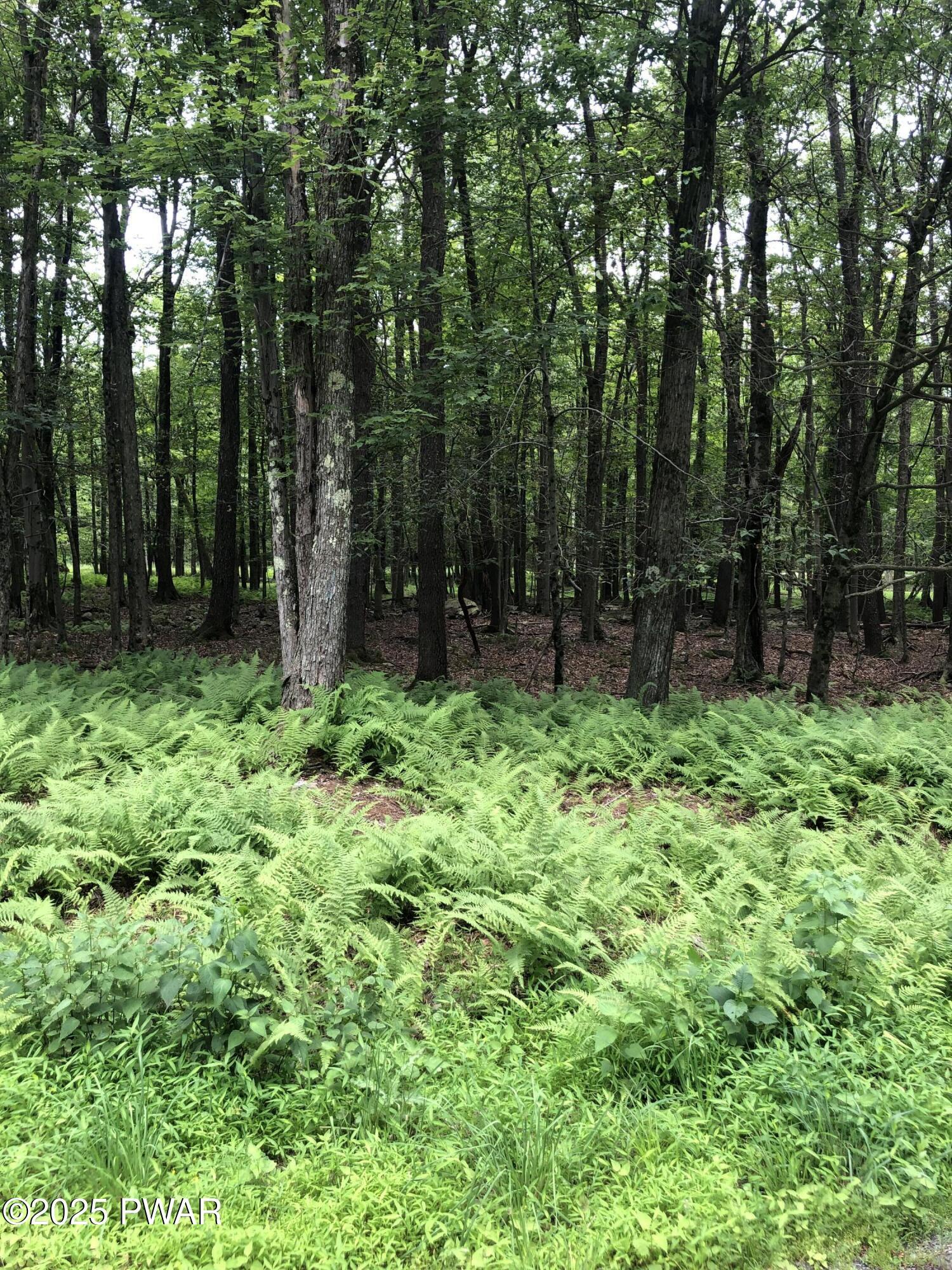 Image 4 Image 4