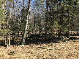 Lot 160 Bluejay Ct