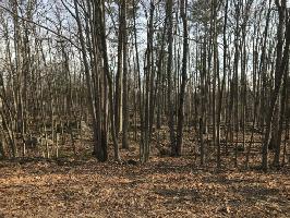 Lot 398 Pebble Rock Rd