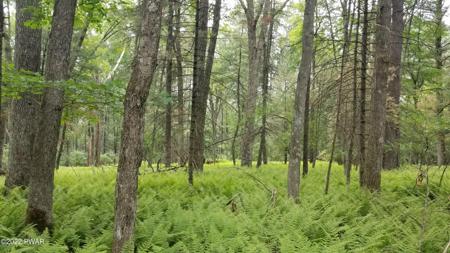 Lot 99 Fawn Lake Drive