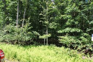Lot 360 Westwood Ln