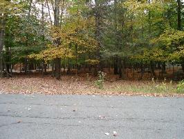 3256 North Gate Rd 
