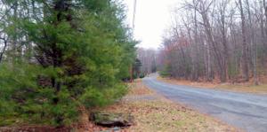 Lot 91 JUNIPER Way