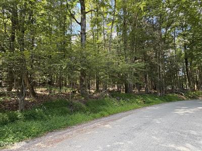 Wallenpaupack Drive