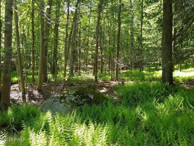 Pine Creek Road