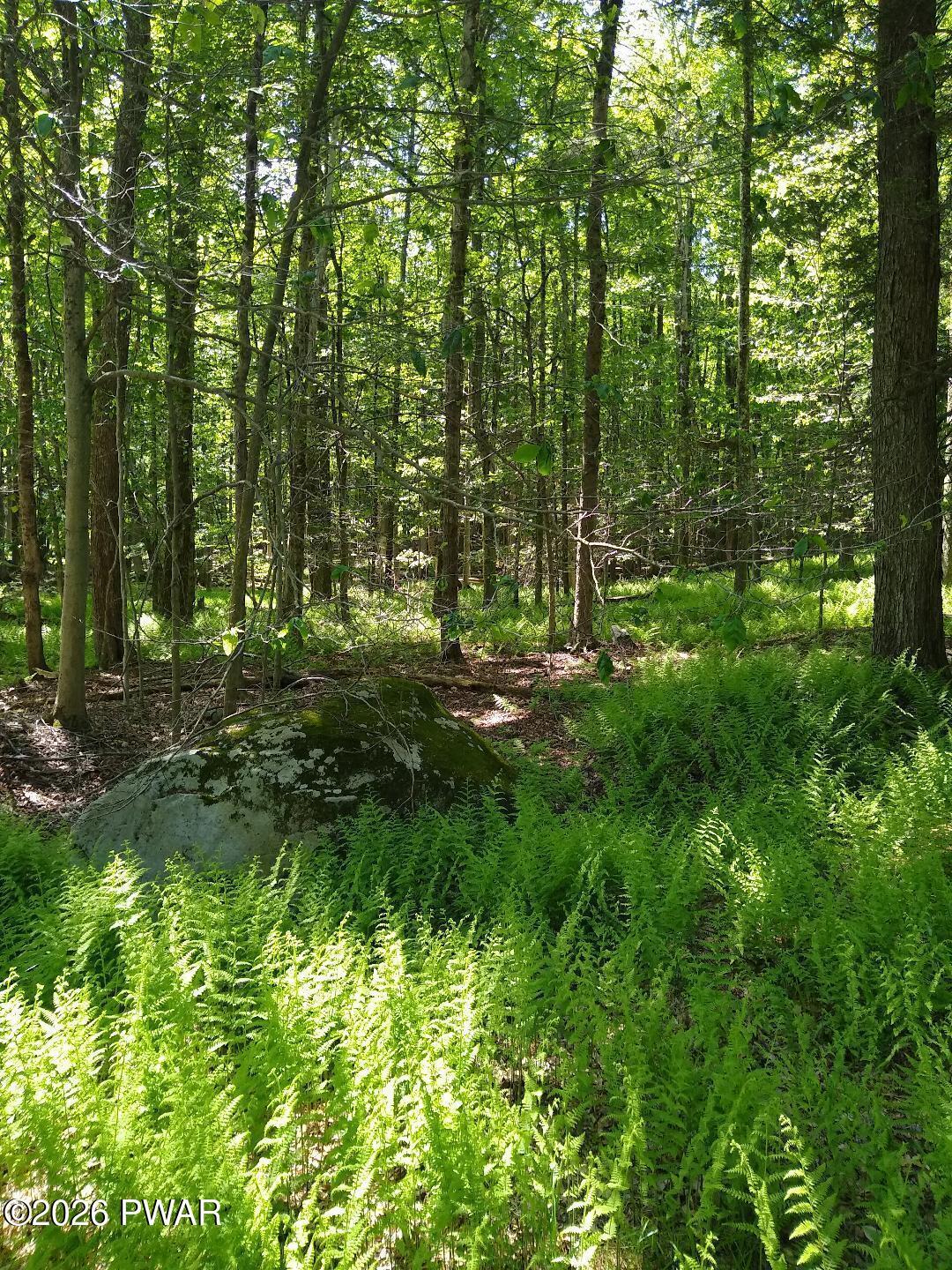 Image 2 Image 2