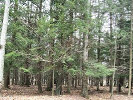 Lot 812 Pine Creek Rd