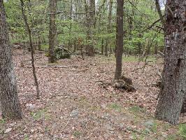 Lot 15 CEDAR Ct