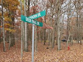 186 Deer Trail Dr