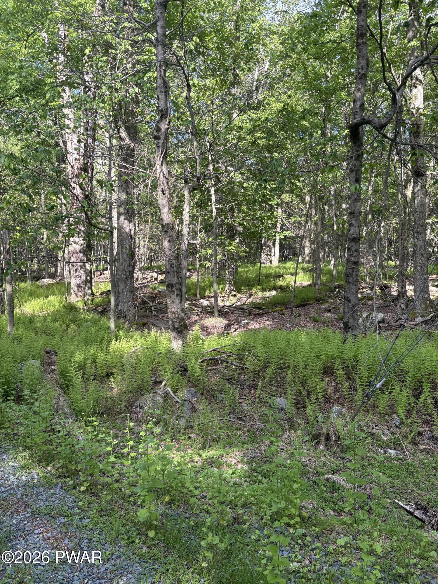Image 4 Image 4