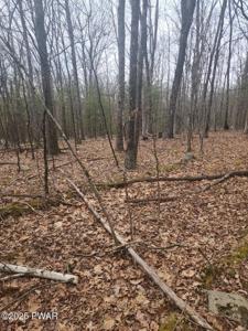 Lot 341 Timber Ridge Drive