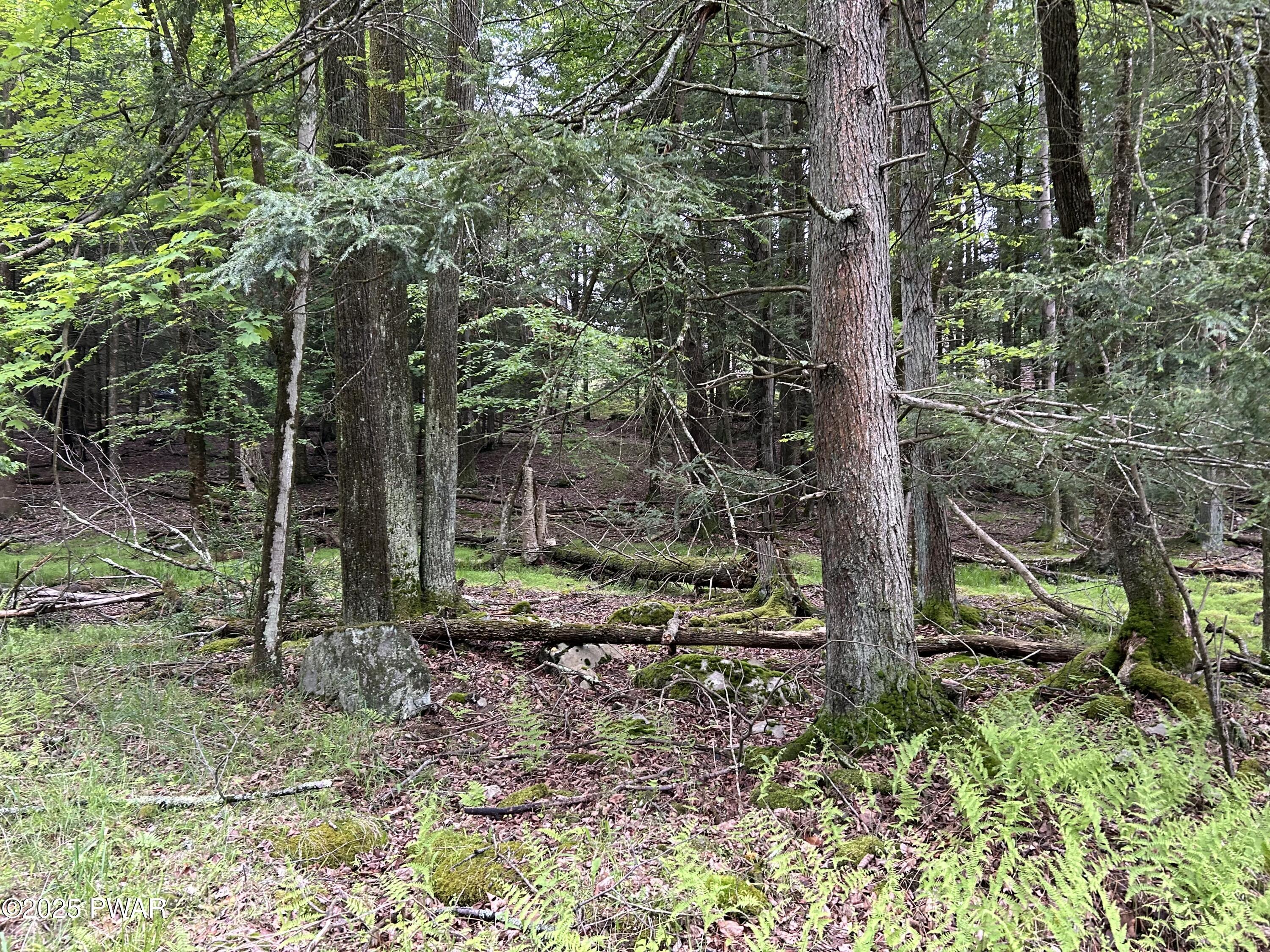 Image 3 Image 3