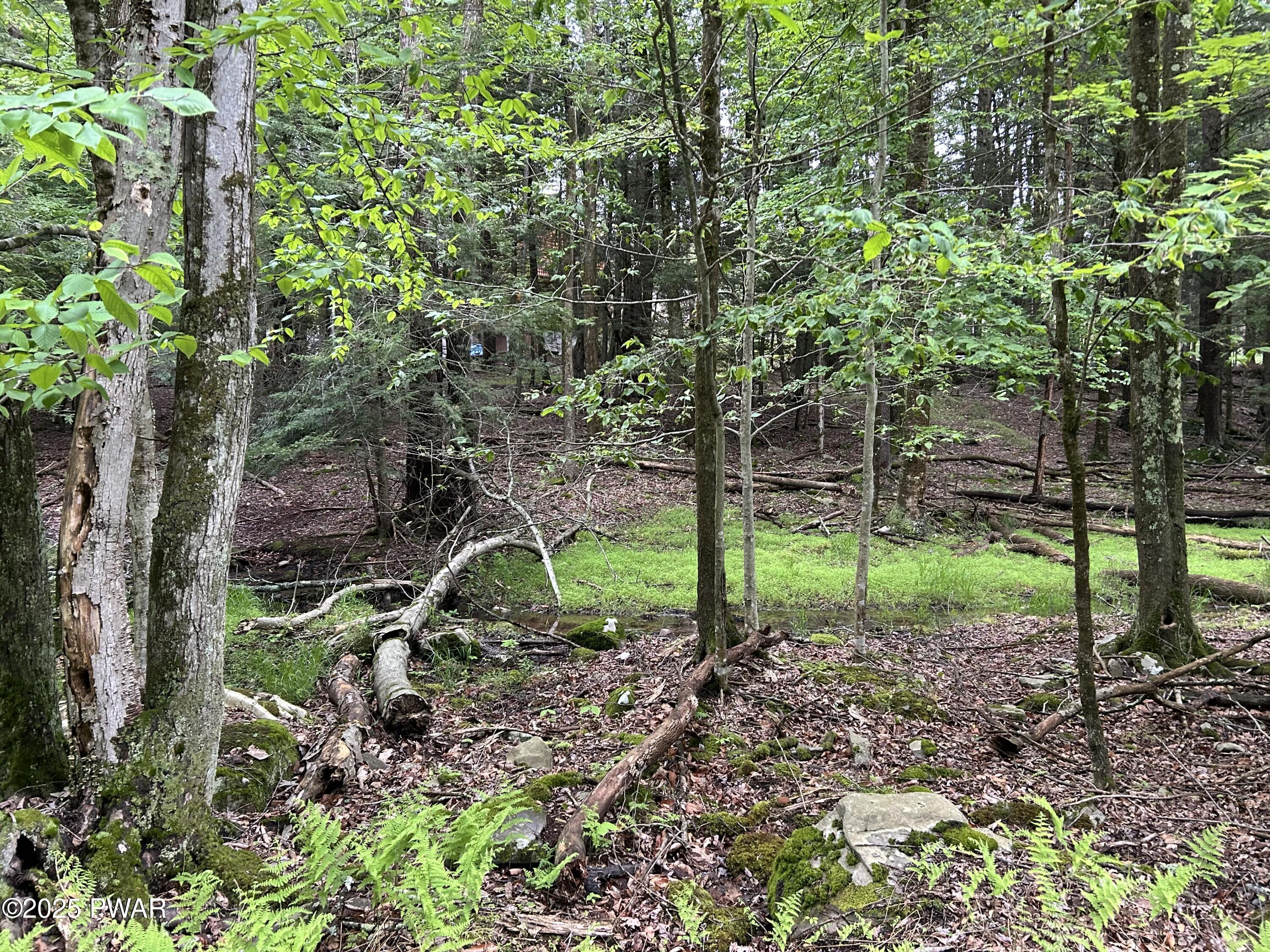 Image 4 Image 4