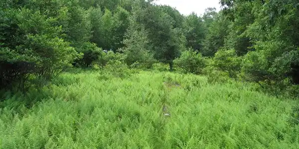 Lot129-133 Indian Trails Dr
