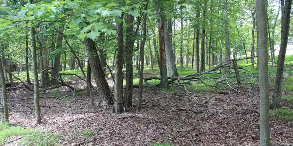Lot 28 N Forrest Drive