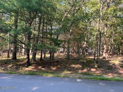 Redwood Lot 53 Road