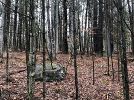 348 Creek Rd