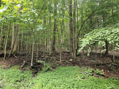 Lot 134 Sheridan Road