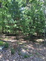 Lots 23ABC Deer Trail 