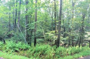 149 Oak Hill Rd