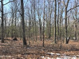 Lot 21 Juniper Way