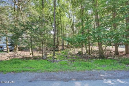 54 Wallenpaupack Drive
