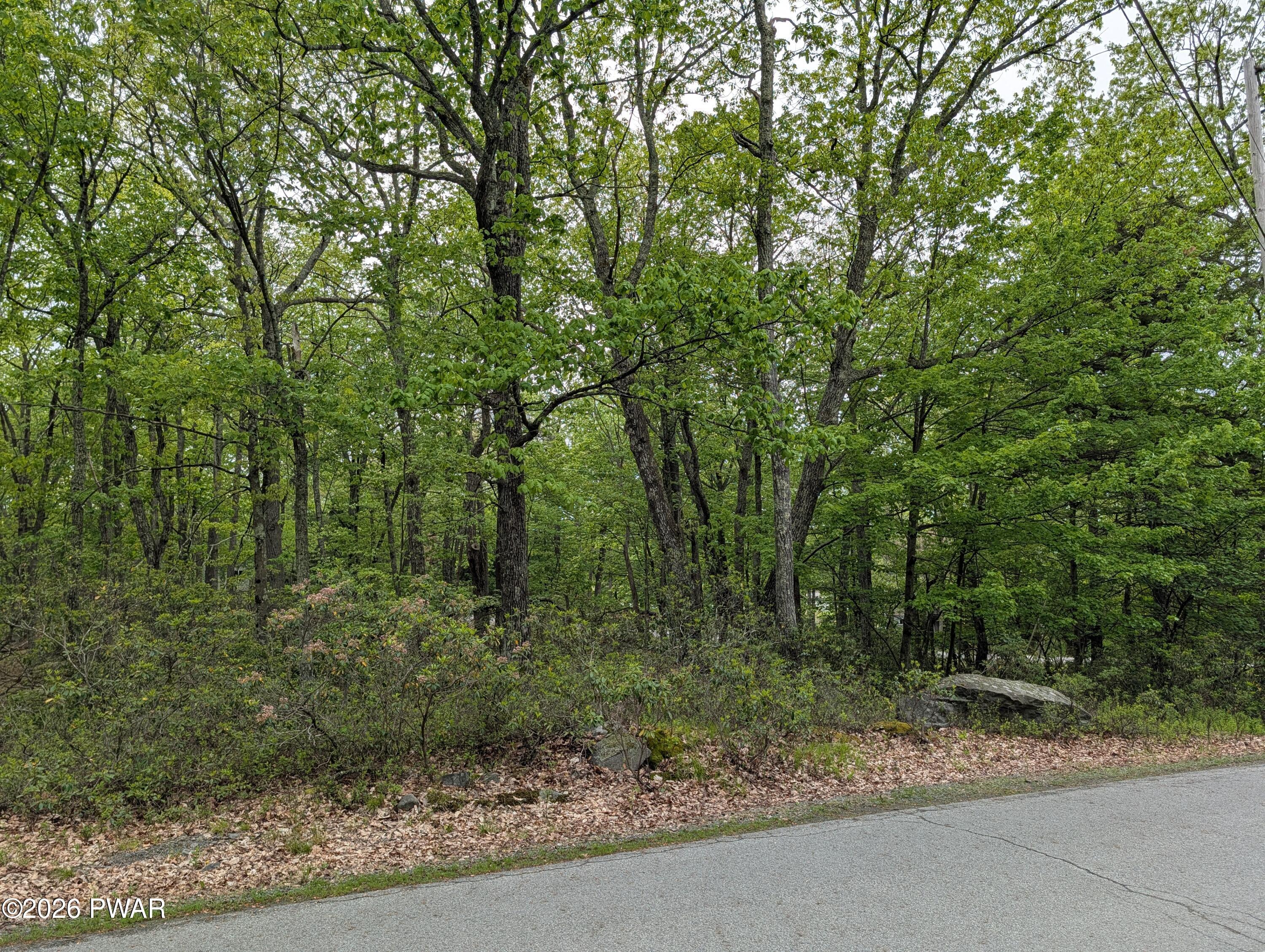 Image 4 Image 4