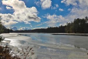 Oneida Rd