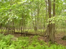 Lot 149 Mountain Top Rd