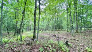 133 Briarcrest Drive