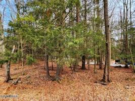 109 Wallenpaupack Drive