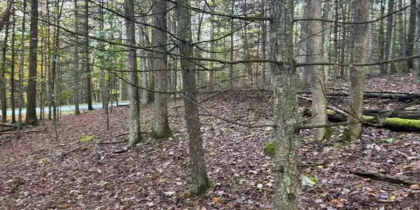 Lot 3 Cedar Ridge Road
