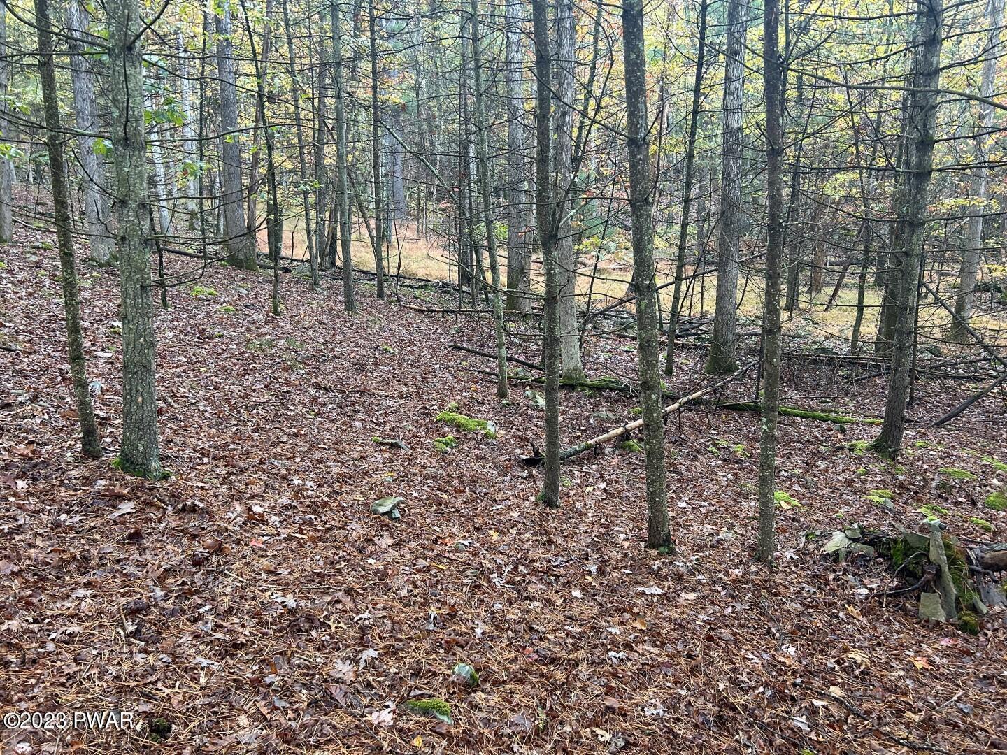 Image 3 Image 3