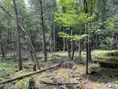 Lot 75 Happy Hollow Drive