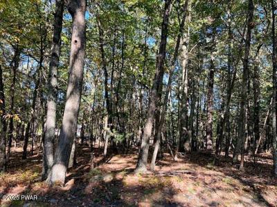 116 Primrose (Lot 31A) Lane