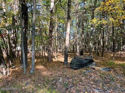 Lot 33 Primrose Lane