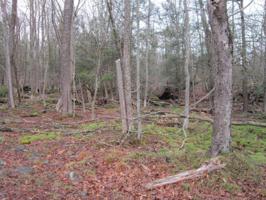 278 Powderhorn Dr