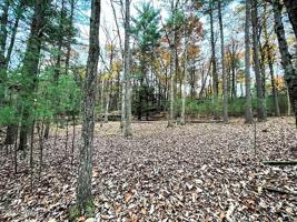 536 Timber Ridge Dr