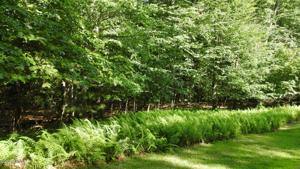 1492 Raymondskill Rd