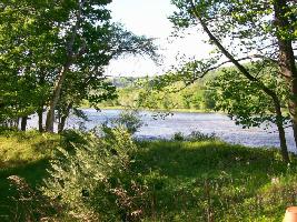 Tammany Flats Ter