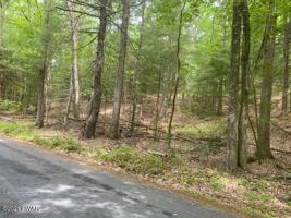 Cedar Dr