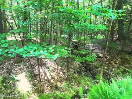 Lot 346 Creek Rd