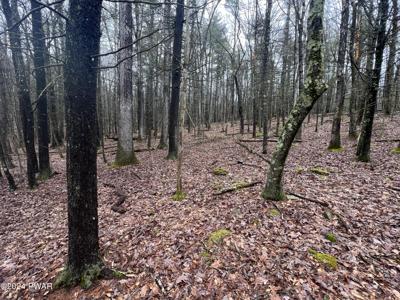 Lot 47 Hawks Nest Drive