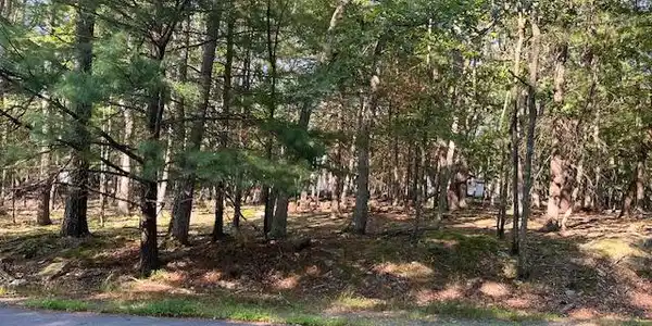 Redwood Lot 53 Road