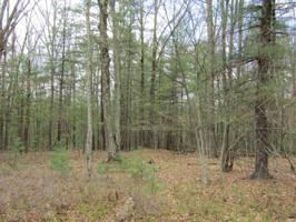78 Hawks Nest Dr
