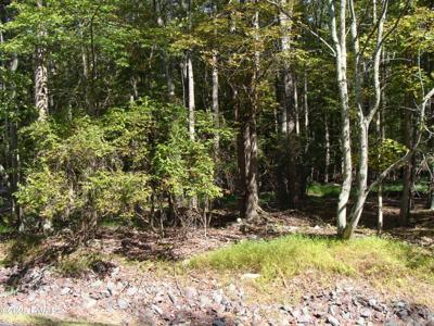 Lot 593 Tamarack Lane